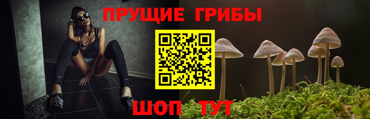 Псилоцибиновые грибы Magic Shrooms Краснокамск